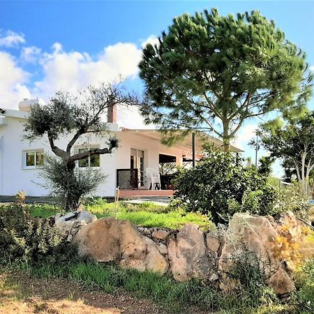 Villa Gavriel - Peyia Villa With Breathtaking Sea View, Peyia Villa With Private Pool, Secluded, Huge Outdoor Space, Mountain Views Pegeia Exterior foto
